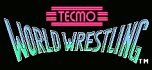 Tecmo world wrestling